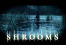 Shrooms 8