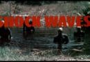 Shock Waves 6