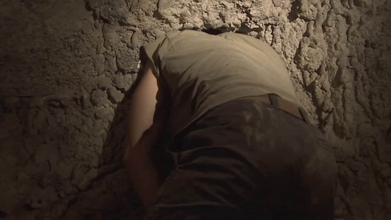 Horror Movie Review Living Dark The Story of Ted the Caver (2013