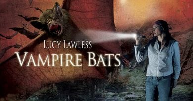 Horror Movie Review: The Nun (2005) - Games, Brrraaains & A Head