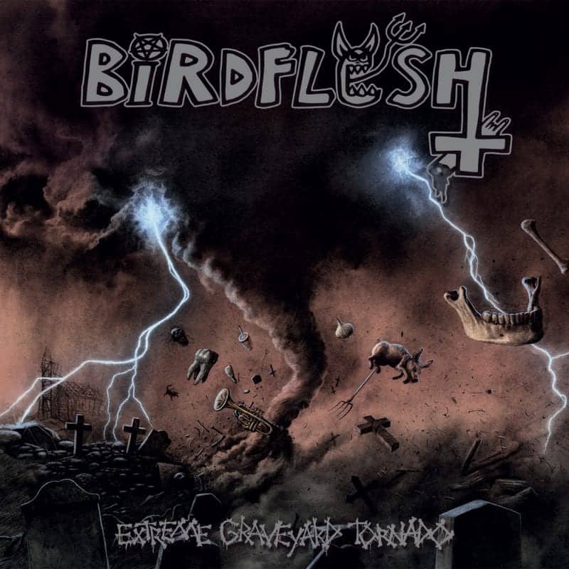 Birdflesh 1
