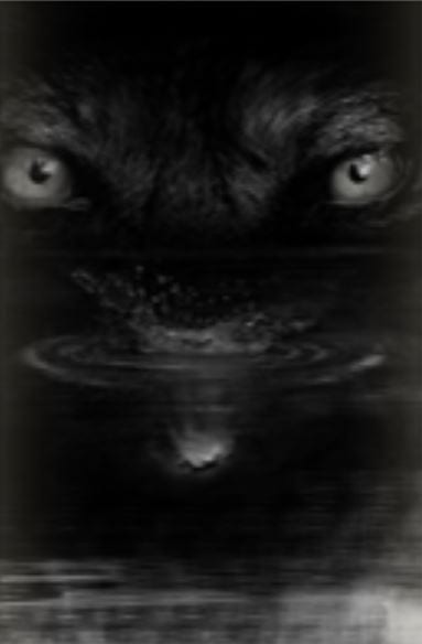 Leaders of the Pack - A Werewolf Anthology