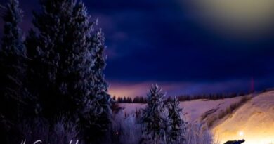 It Came Upon A Midnight Clear Archives Games Brrraaains A Head Banging Life