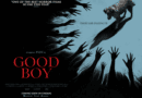 Horror Movie Review: Good Boy (2025)