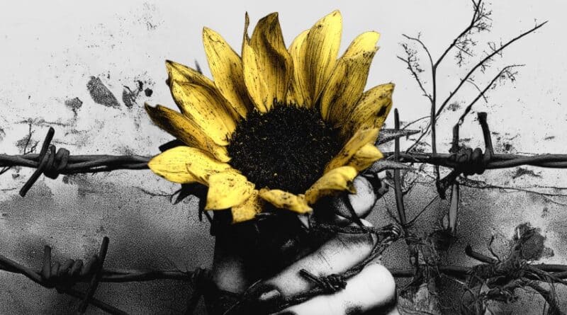 Stellvris - Shatter & Bloom Artwork