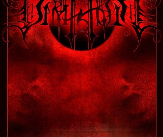 Dimholt Metaform Album Cover