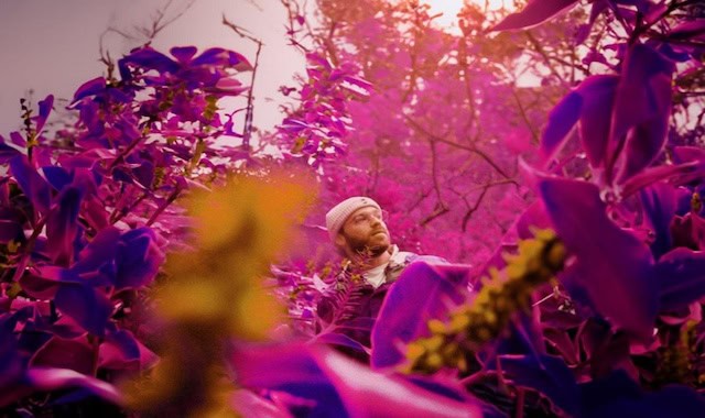 Interview: Getting to Know ttwig