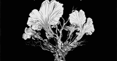 EP Review: Pythonic – Decomposition (Self Released)