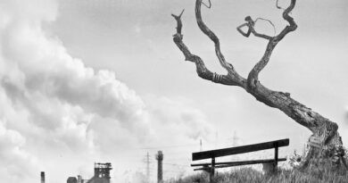 Album Review: Final Coil – The World We Inherited 2025 – Remastered & Expanded (Self Released)