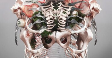 Crystal Lake - The Weight of Sound Artwork