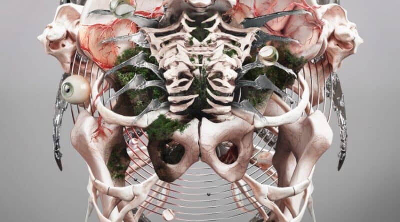 Crystal Lake - The Weight of Sound Artwork