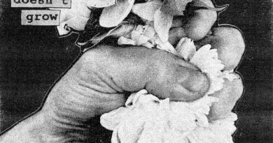 Album Review: Softcult – When a Flower Doesn’t Grow (Easy Life Records)