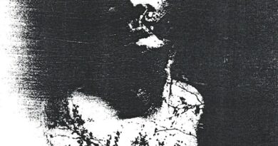 Track Premiere: Blunt Knife Castration – Play Victim