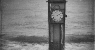 EP Review: St. Barbe. – Shoal (Bridge the Gap)