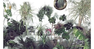 Album Review: Wildernesses – Growth (Floodlit Recordings)