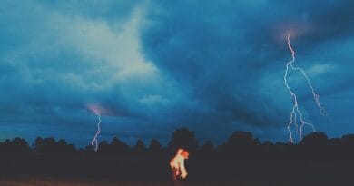 Album Review: Krooked Tongue – I Know a Place (Self Released)