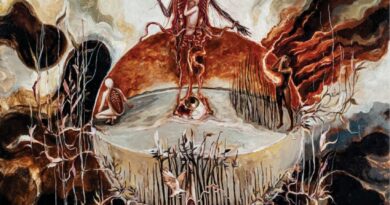 Apostle - A Splinter in the Infinite Noumenon Artwork
