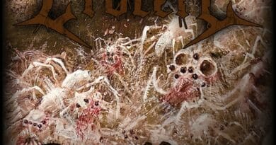Video Premiere: Crocell – Swarm of Insects (Official Video)