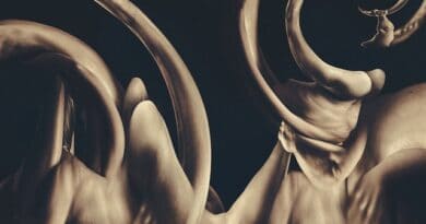 Album Review: Siamese – dissolution (Long Branch Records)